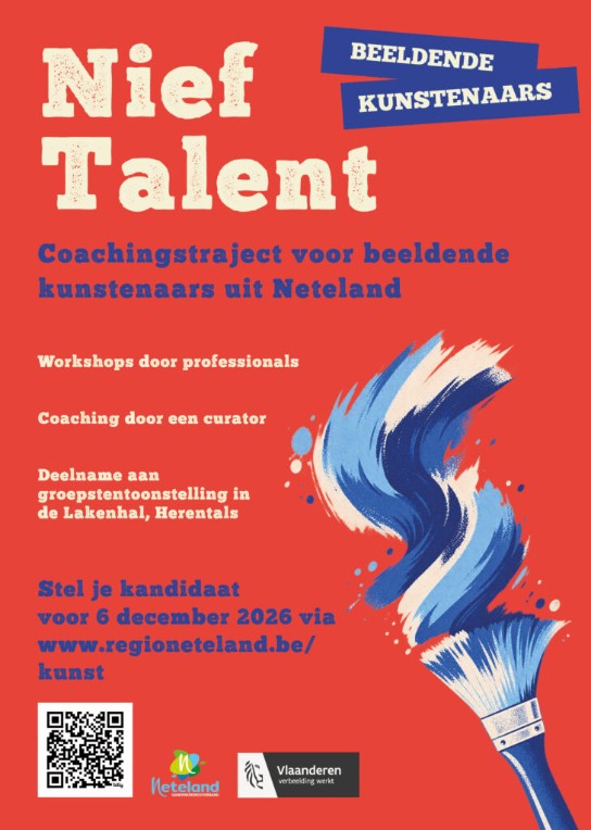 Flyer voor Nief Talent coachingstraject voor beeldende kunstenaars uit Neteland, met workshops en tentoonstelling. (vergroot foto)