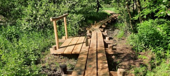 Houten vlonderpad met leuning door groen bos en struikgewas op zonnige dag.